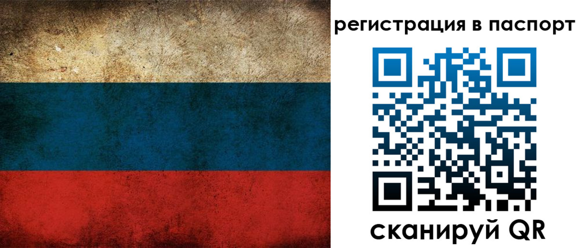 регистрация для дет. сада в Сертолово